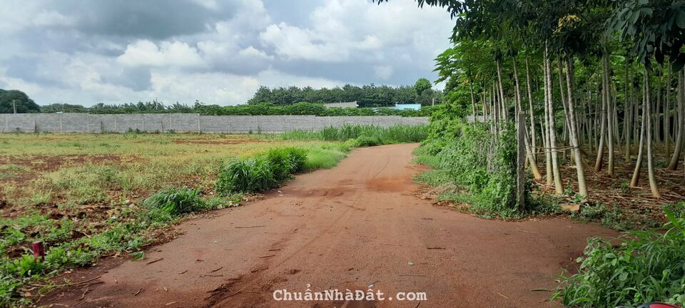 BÁN ĐẤT LONG PHƯỚC - TP BÀ RỊA SỔ SẴN VÀ GIÁ MỀM BÁN ĐẤT LONG PHƯỚC - TP BÀ RỊA SỔ SẴN VÀ GIÁ MỀM