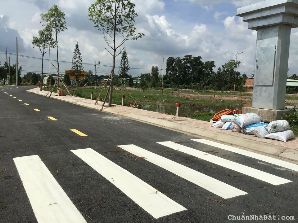 BÁN ĐẤT MT ĐƯỜNG NGUYỄN HỮU TRÍ, TÂN BỬU, BẾN LỨC, LONG AN. SHR, 729 TRIỆU/185M2