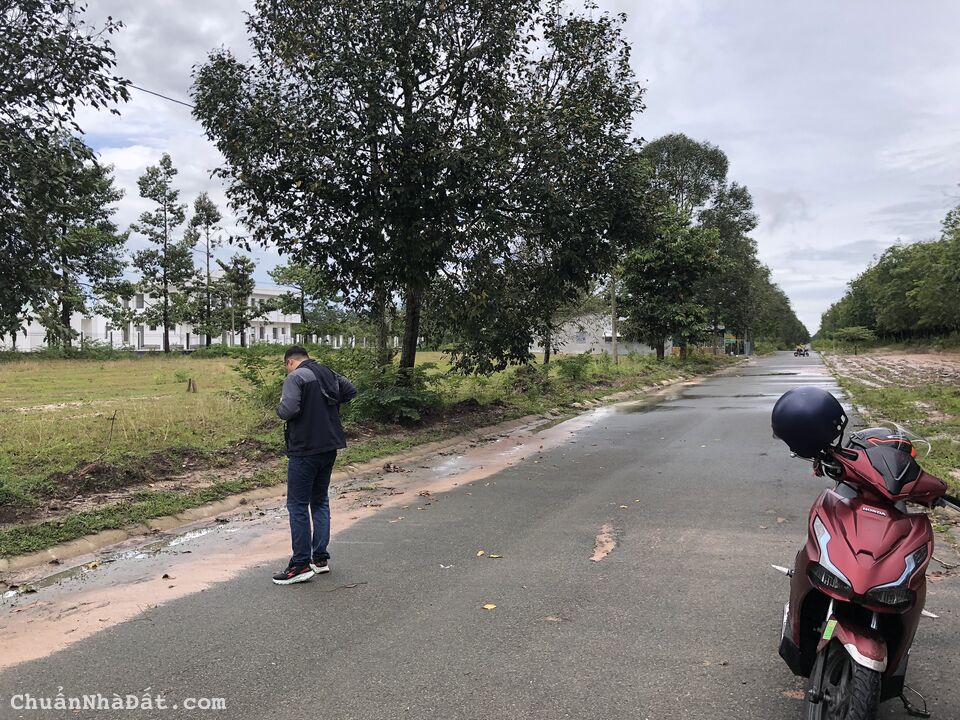 Tôi chuyển về quê sinh sống, cần bán gấp miếng đất đường nhựa, gần UBND
