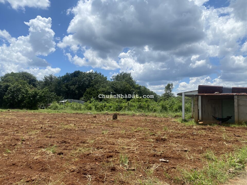 Đất nền sổ sẵn ở Lộc Thạnh Lộc Ninh Bình Phước