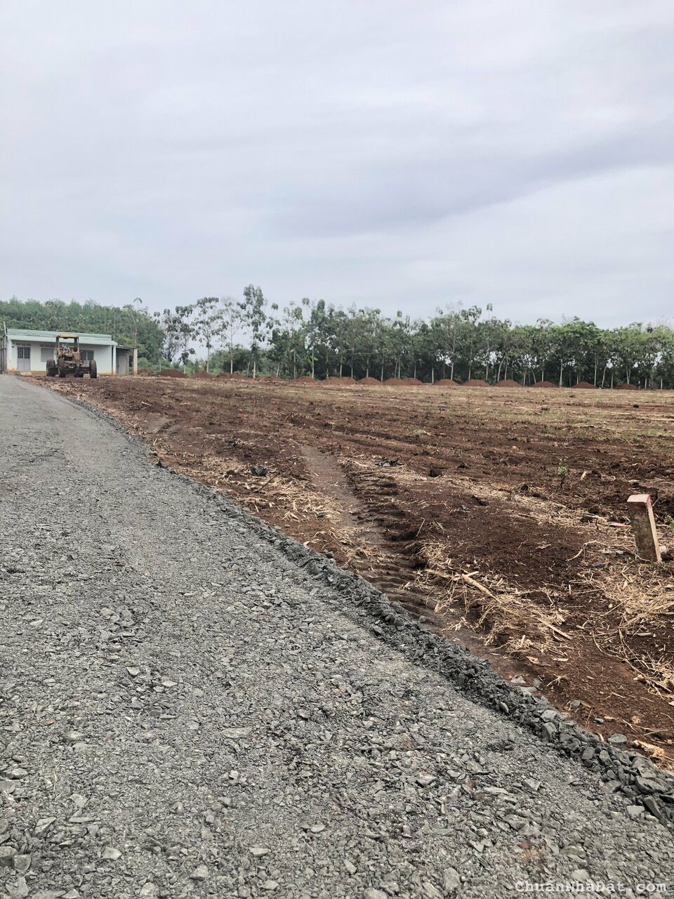 Đất bán thổ cư ở Lộc Ninh Bình Phước cách Kcn Ledana mất 5p chạy xe.