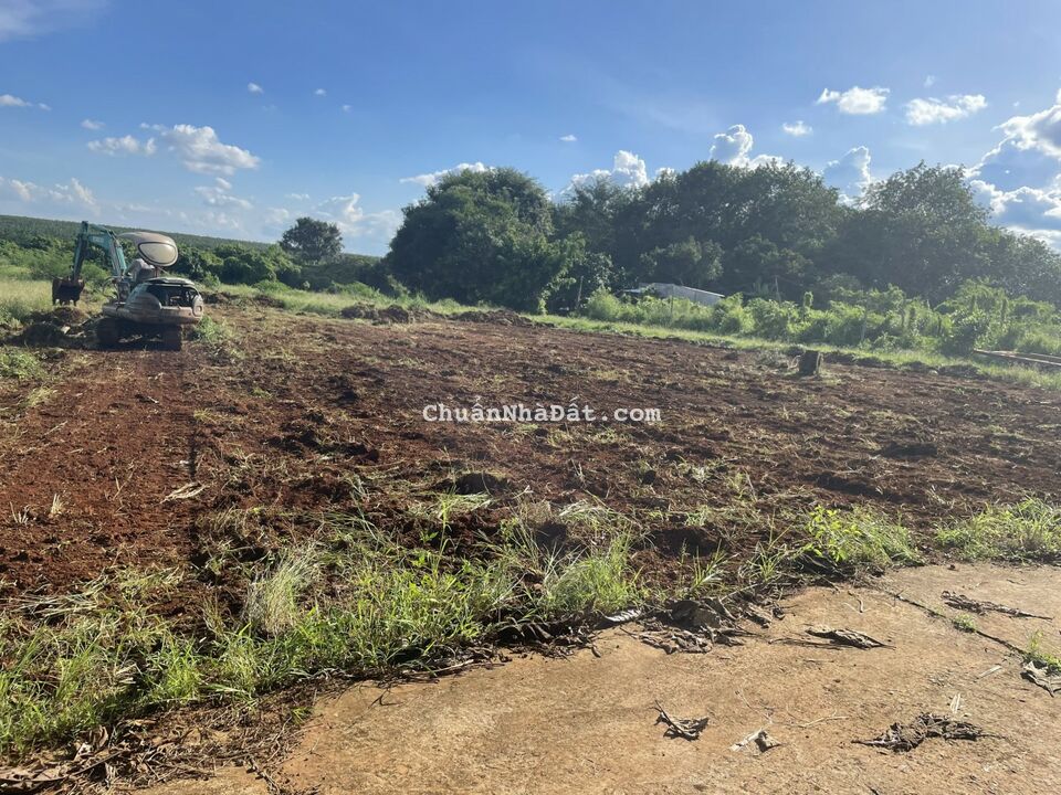 Đất nền có sổ hồng cách ql13 vào 500m ở Bình Phước