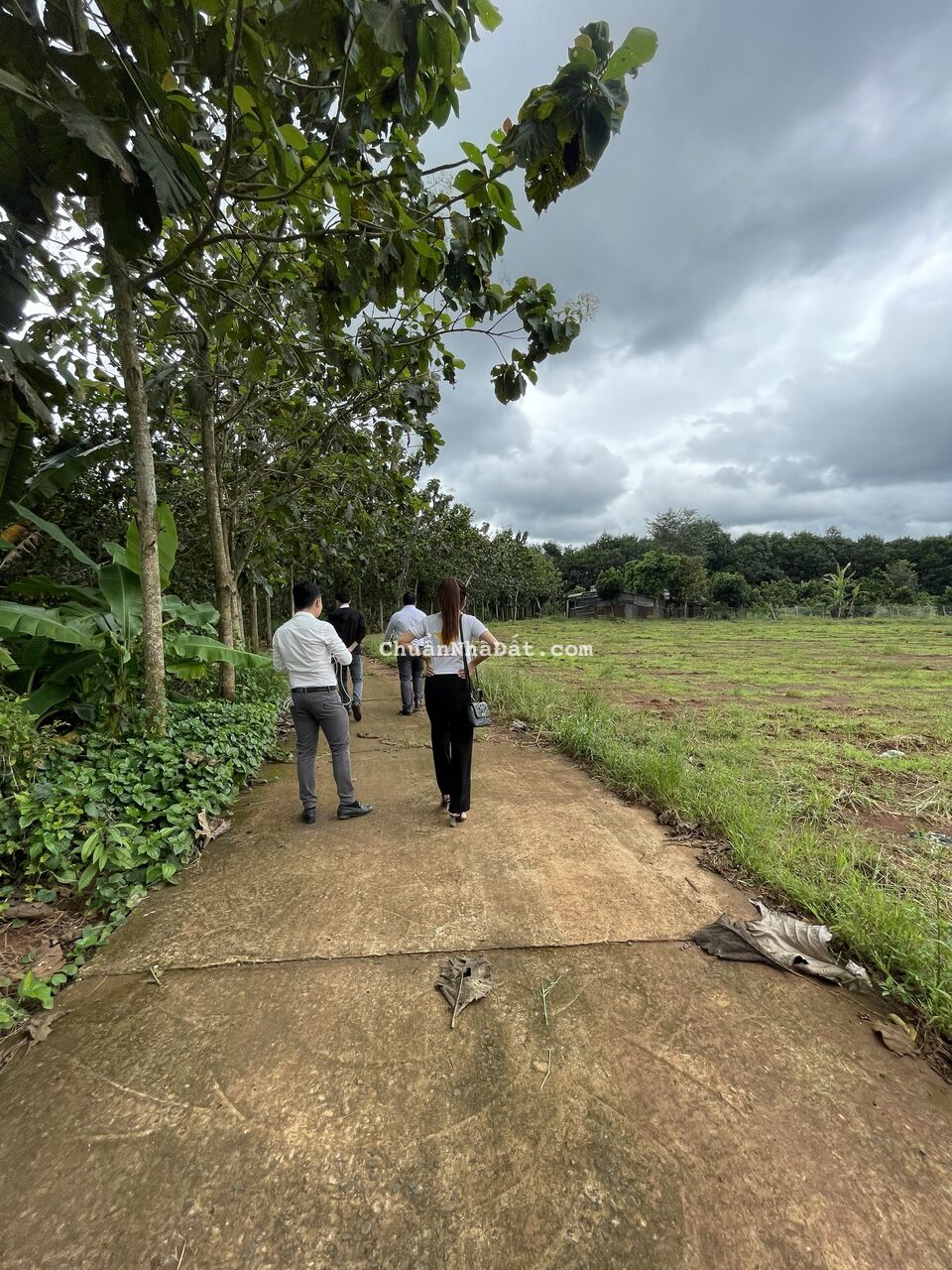 Đất bán thổ cư ở Lộc Ninh Bình Phước mặt tiền 6m