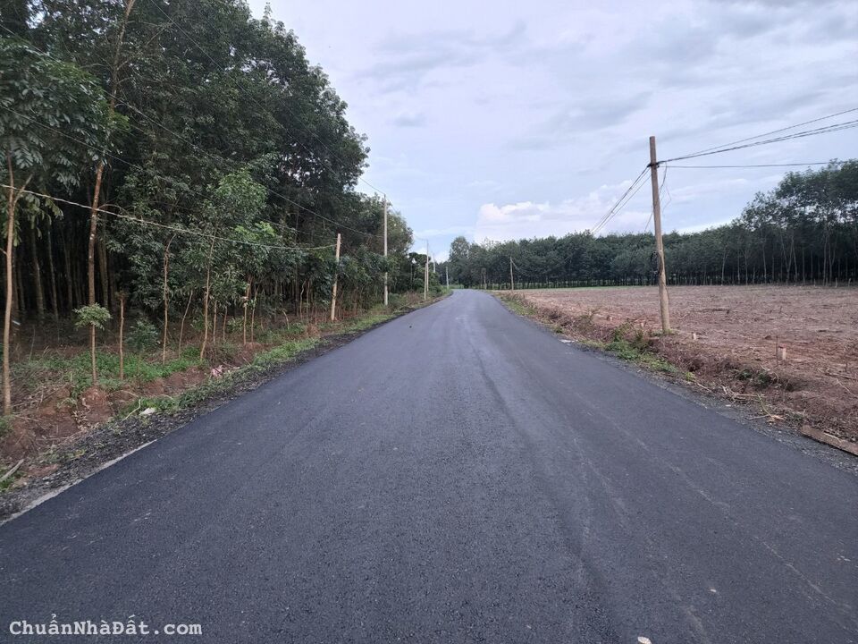 Đất nền giá rẻ Lộc Ninh, Bình Phước