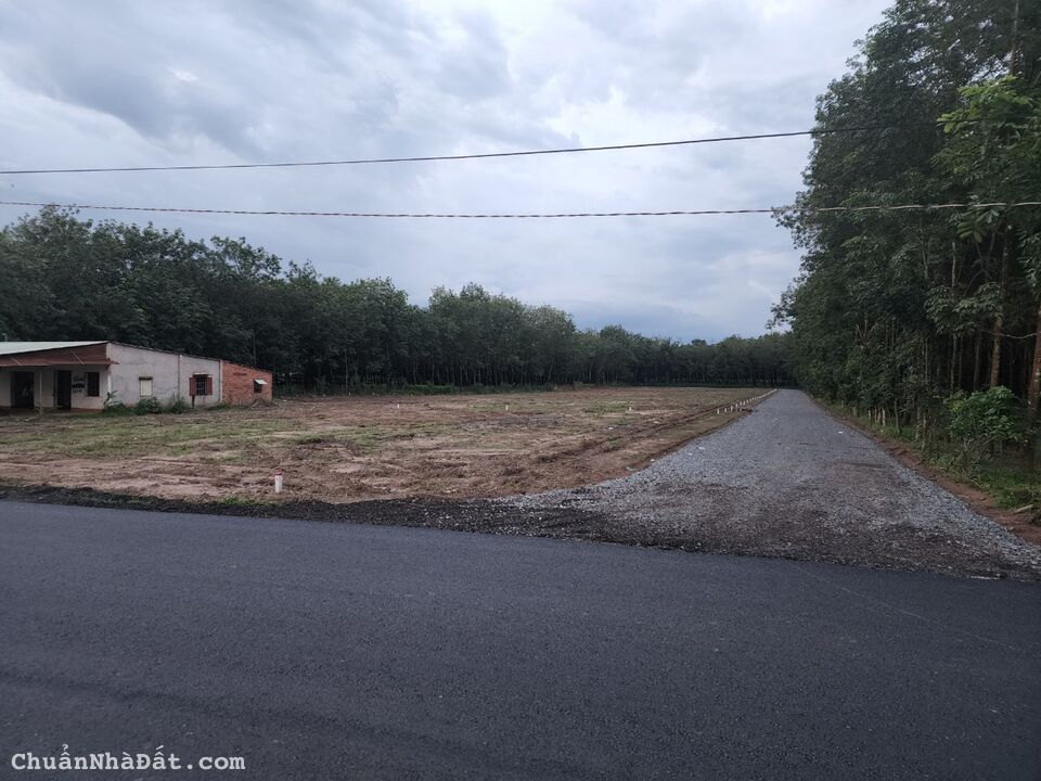 Đất nền giá rẻ Lộc Ninh, Bình Phước