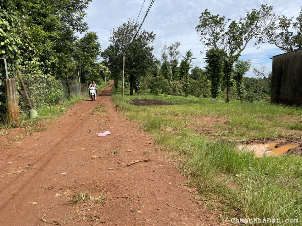 Chỉ 345tr 👉🏻 1035m2 SHR tại Xã Đắkwer - Đắk R”Lấp Chỉ 345tr 👉🏻 1035m2 SHR tại Xã Đắkwer - Đắk R”Lấp