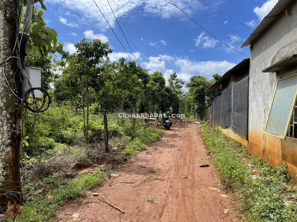 Chỉ 345tr 👉🏻 1035m2 SHR tại Xã Đắkwer - Đắk R”Lấp Chỉ 345tr 👉🏻 1035m2 SHR tại Xã Đắkwer - Đắk R”Lấp