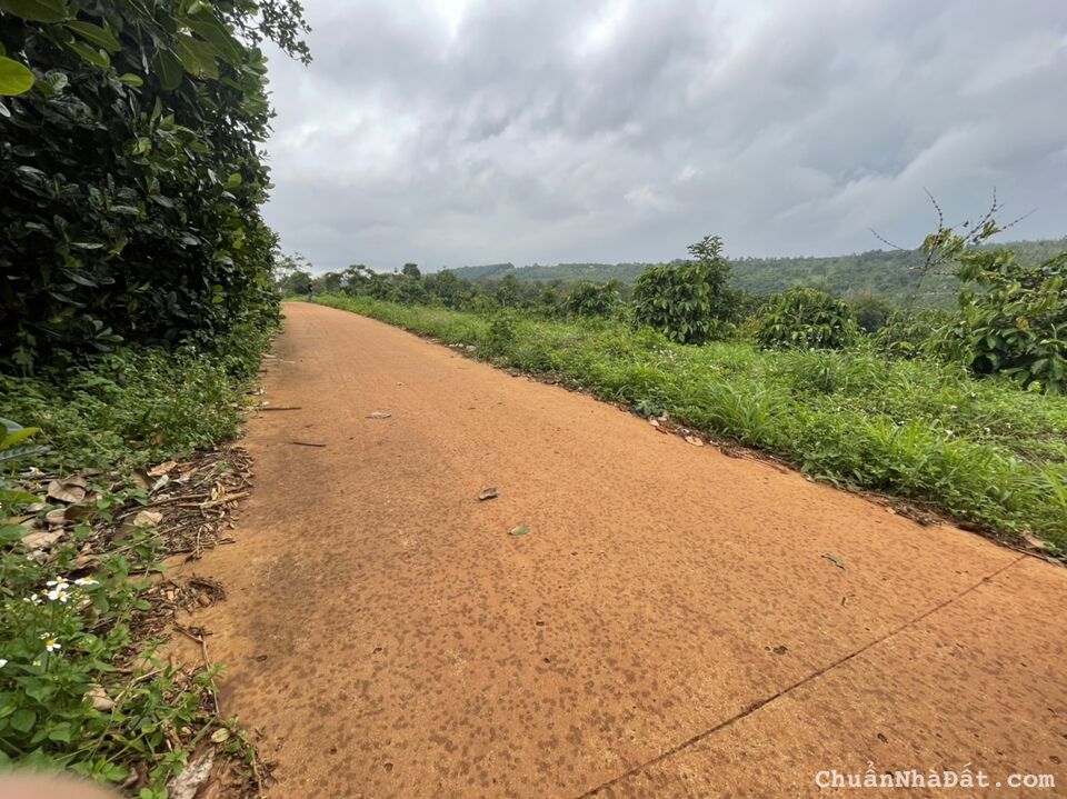 Hơn 1 Sào đất có thổ giá rẻ tại Xã đăkwer