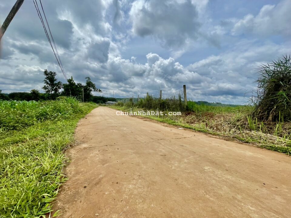 Chỉ 450tr sở hữu 1066m2-200m2 TC - SHR  . Cách đường nhựa 1km