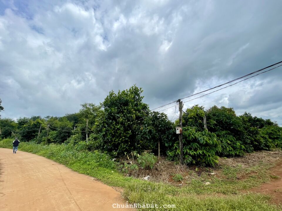 Chỉ 450tr sở hữu 1066m2-200m2 TC - SHR  . Cách đường nhựa 1km