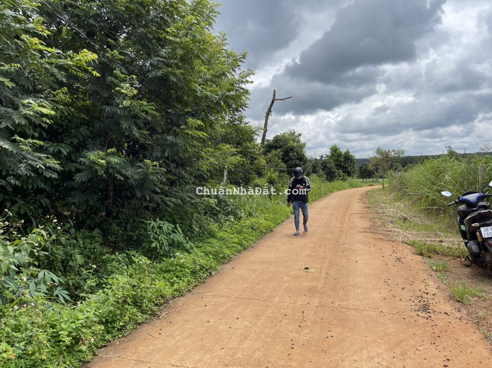 Chỉ 450tr sở hữu 1066m2-200m2 TC - SHR  . Cách đường nhựa 1km