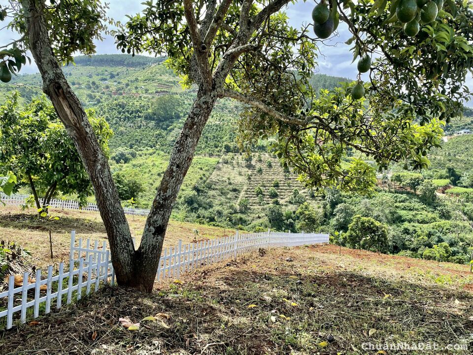 Cần bán lô đất thế dương,nở hậu,view toàn thị trấn Nam Ban - Sổ Hồng Riêng