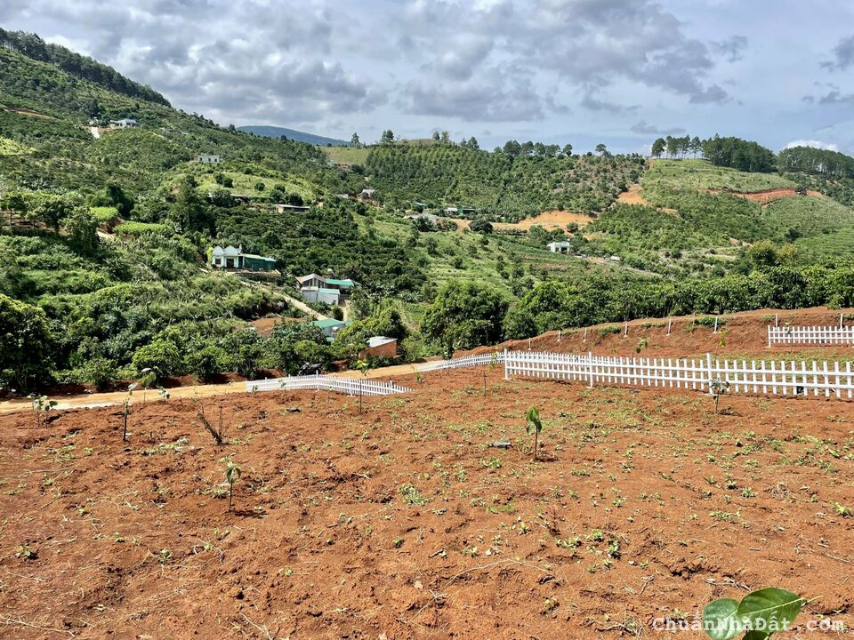 Cần bán lô đất thế dương,nở hậu,view toàn thị trấn Nam Ban - Sổ Hồng Riêng