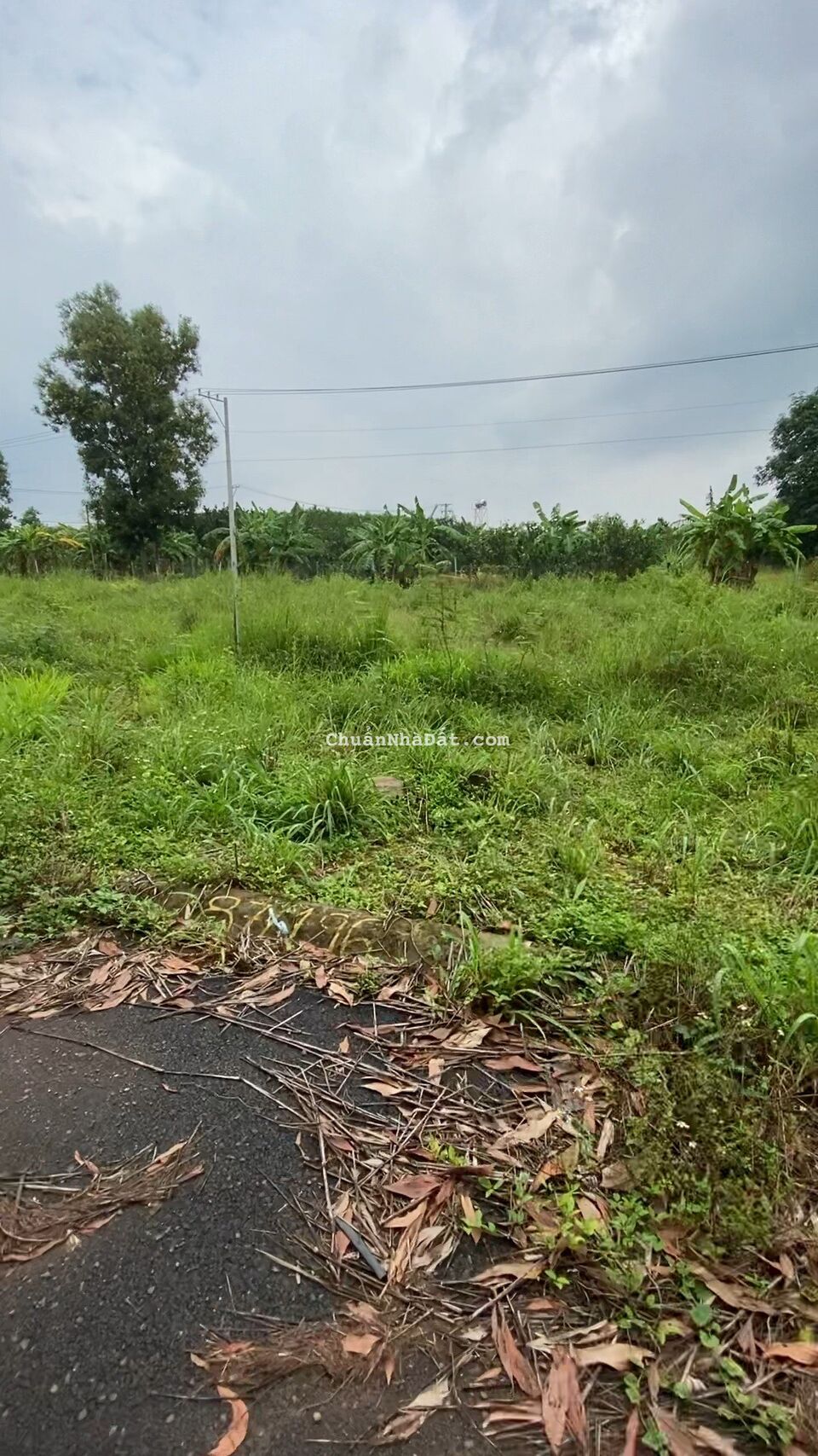 Bán đất ngay KCN Dầu Giây - ĐT 769 mở rộng đi sân bay quốc tế Long Thành. Bán đất ngay KCN Dầu Giây - ĐT 769 mở rộng đi sân bay quốc tế Long Thành.