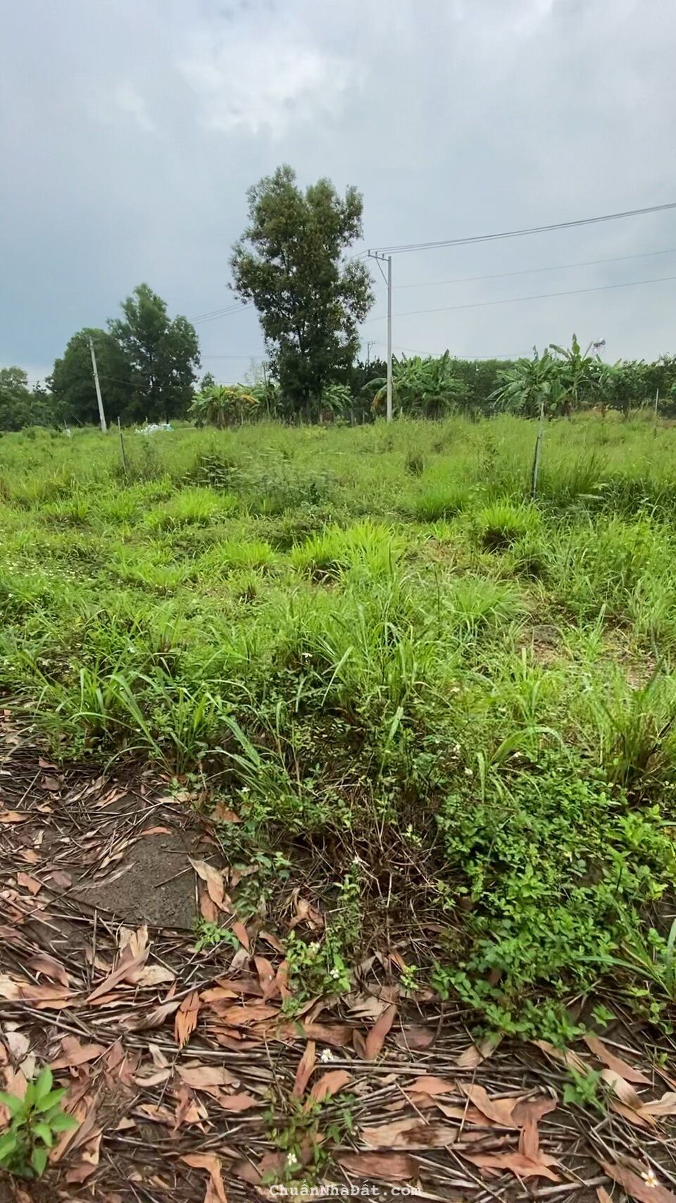 Bán đất ngay KCN Dầu Giây - ĐT 769 mở rộng đi sân bay quốc tế Long Thành. Bán đất ngay KCN Dầu Giây - ĐT 769 mở rộng đi sân bay quốc tế Long Thành.