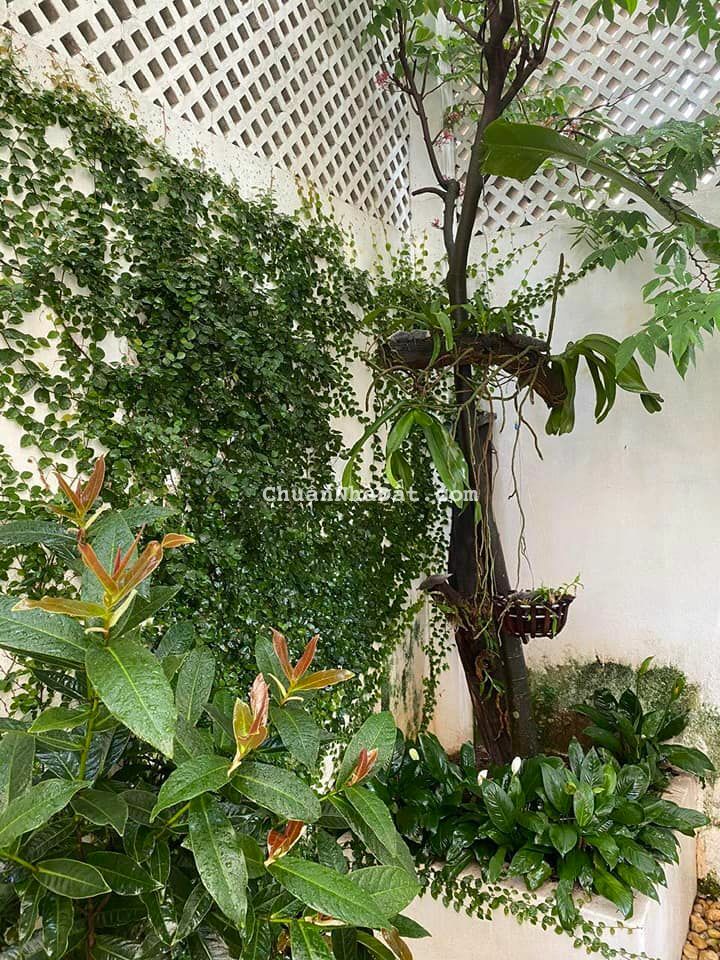 Cần bán căn Biệt Thự An Vượng Vila - KĐT Dương Nội, Phường Dương Nội, Quận Hà Đông - 25 Tỷ - 098716