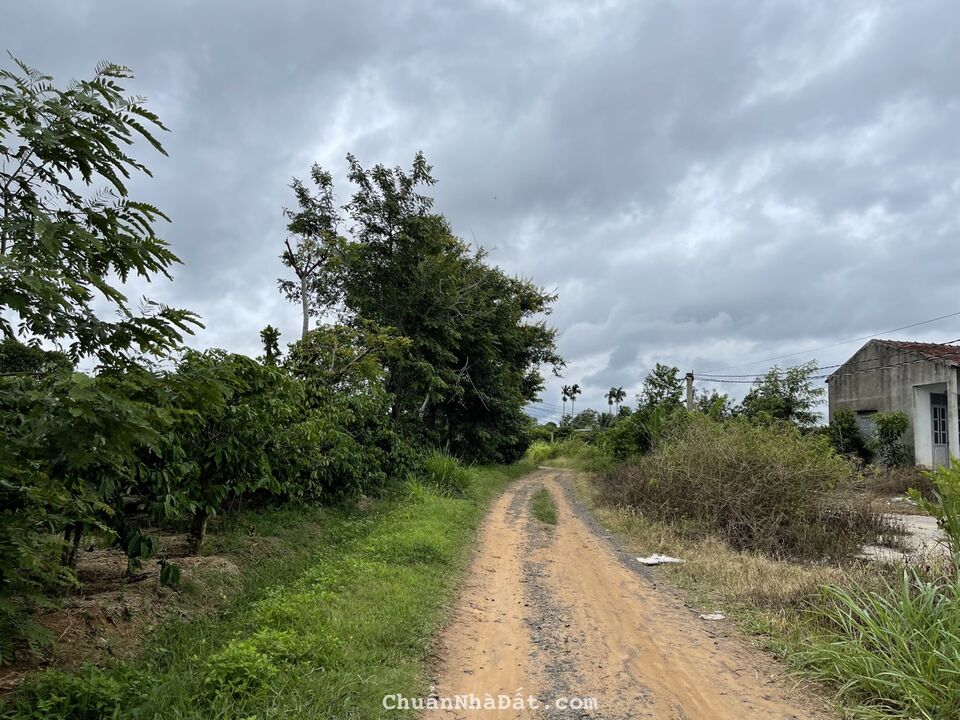 ❤ Chính chủ cần ra đi 2 lô liền kề tại Daklak quy hoạch Full thổ cư chỉ 210/ lô ❤ Chính chủ cần ra đi 2 lô liền kề tại Daklak quy hoạch Full thổ cư chỉ 210/ lô