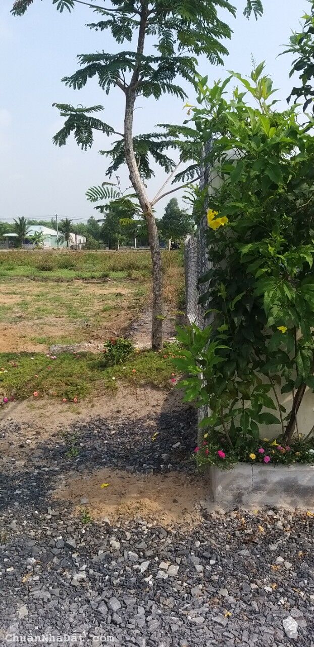 Bán gấp 187m2 đất full thổ Đức Hoà chỉ từ 950tr