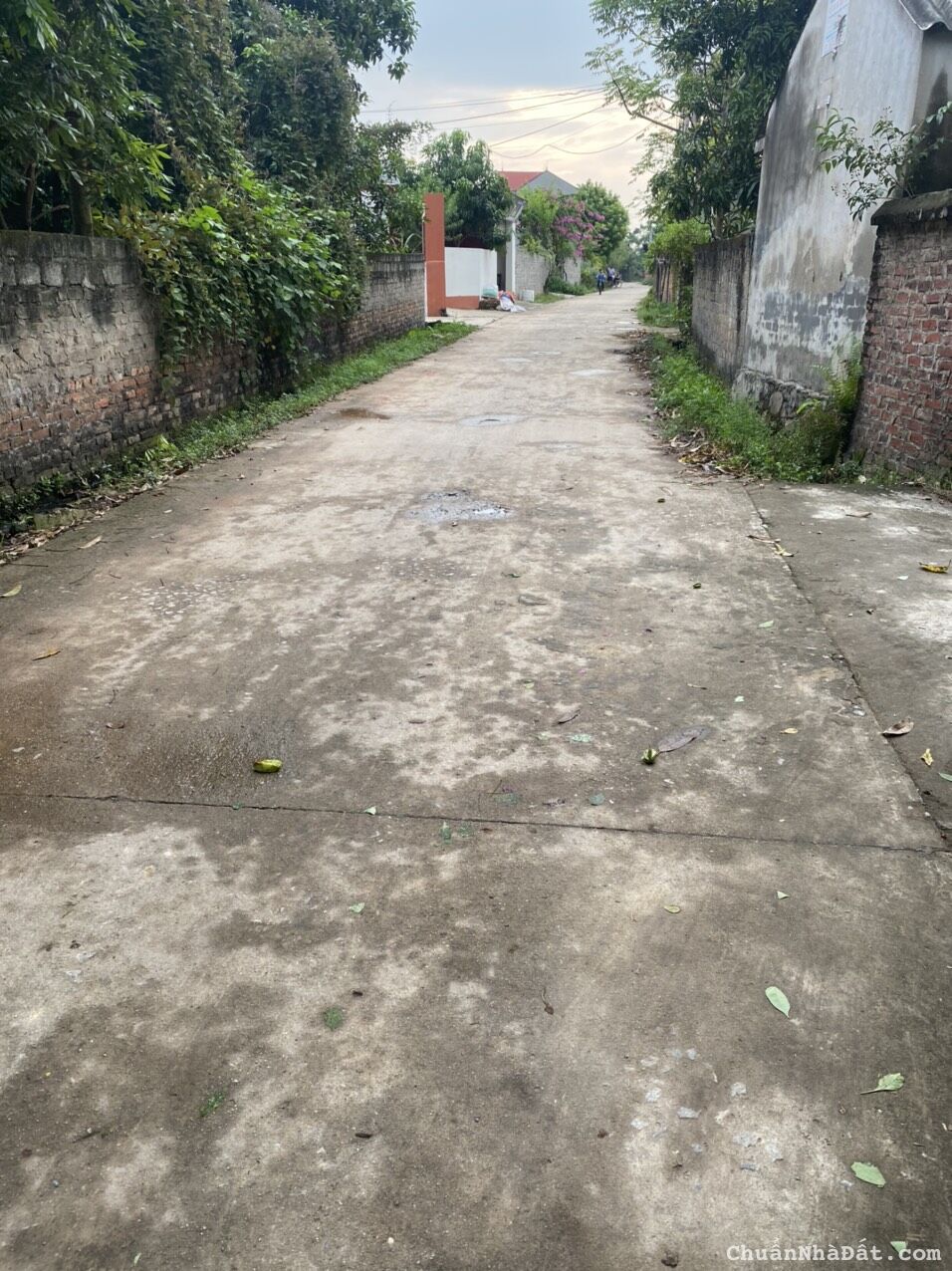 "Cần Bán Lô Đất Thổ Cư Tại Xã Bắc Lũng, Lục Nam  Bắc Giang, Cạnh Khu Công Nghiệp ."