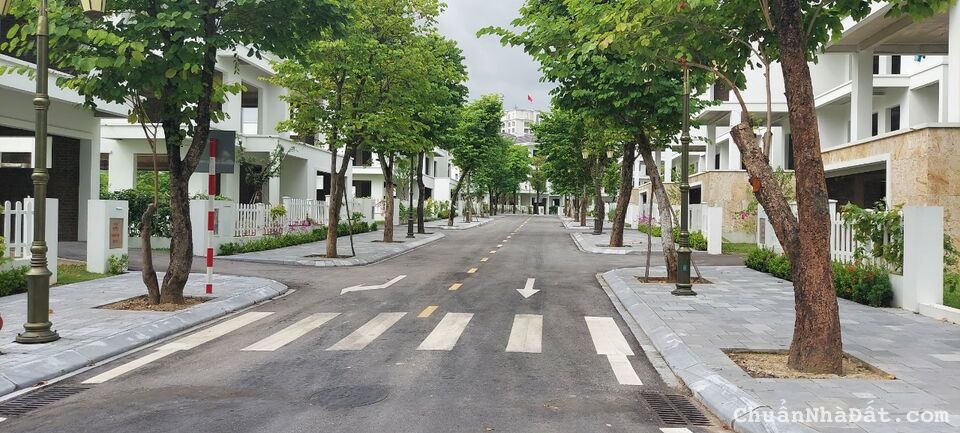 Suất ngoại giao duy nhất biệt thự biển độc tôn view 2 mặt vịnh giá cực tốt cho nhà đầu tư nhanh