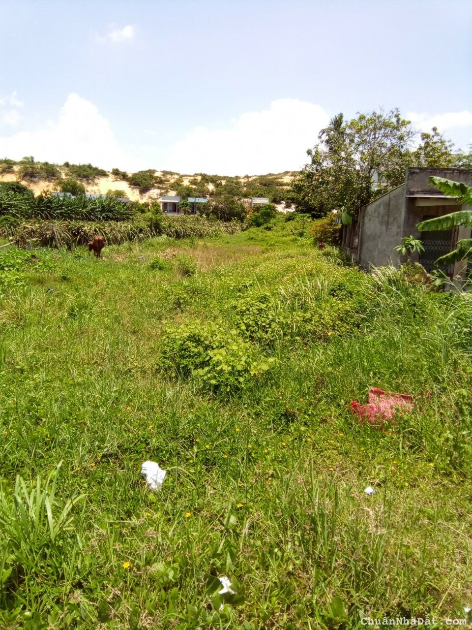 Chính chủ bán 2.462m đất 2 mặt tiền đường ĐT719, thôn văn kê, xã Tân Thành gần mũi Kê Gà