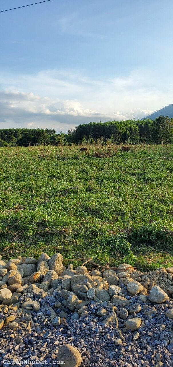 Bán Nhanh Lô Đất Làm Vườn View Sông Mát Mẻ, Khánh Hiệp, Khánh Vĩnh