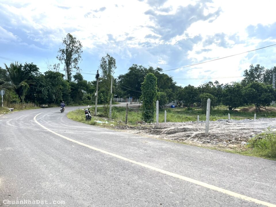  Cần Bán Đất Mặt Tiền Đường Nhựa TL8, Diên Lâm, Diên khánh, Khánh Hoà