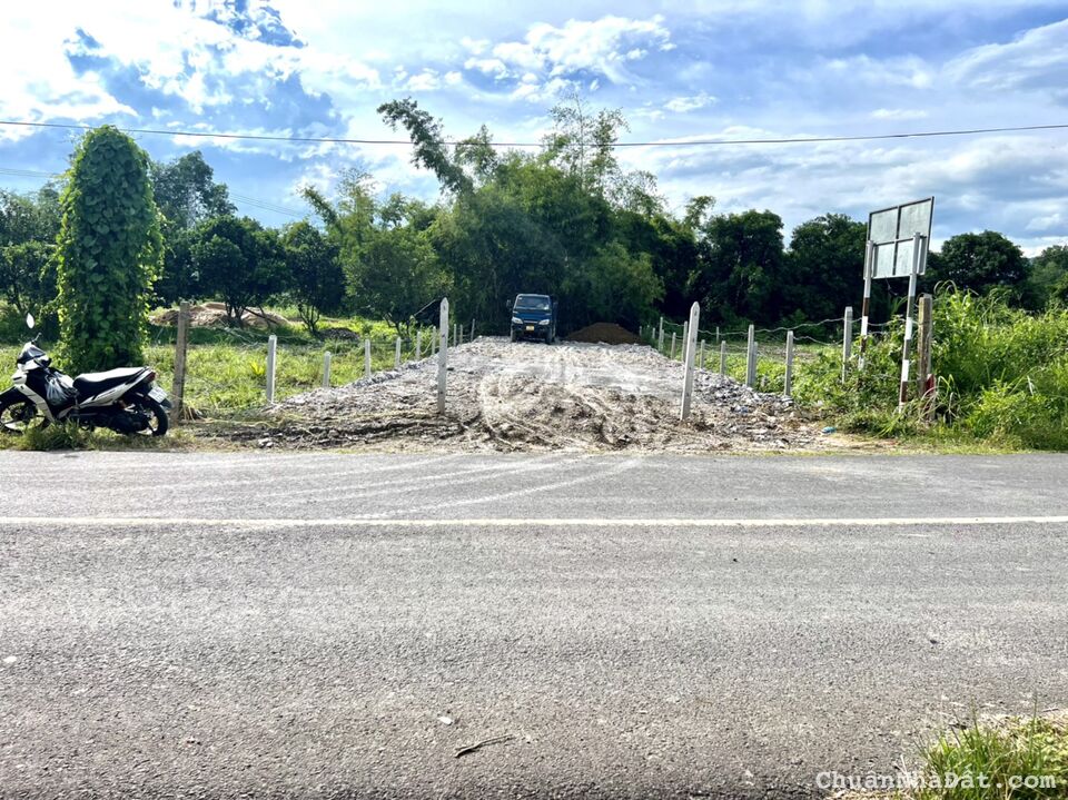  Cần Bán Đất Mặt Tiền Đường Nhựa TL8, Diên Lâm, Diên khánh, Khánh Hoà