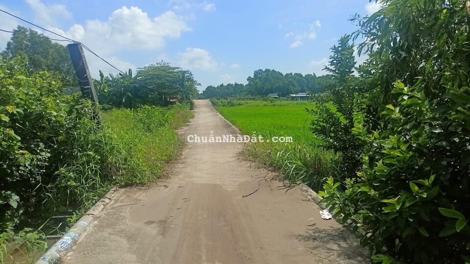 Bán nhanh vài lô đất ở xã Bình Đông thị xã Gò Công