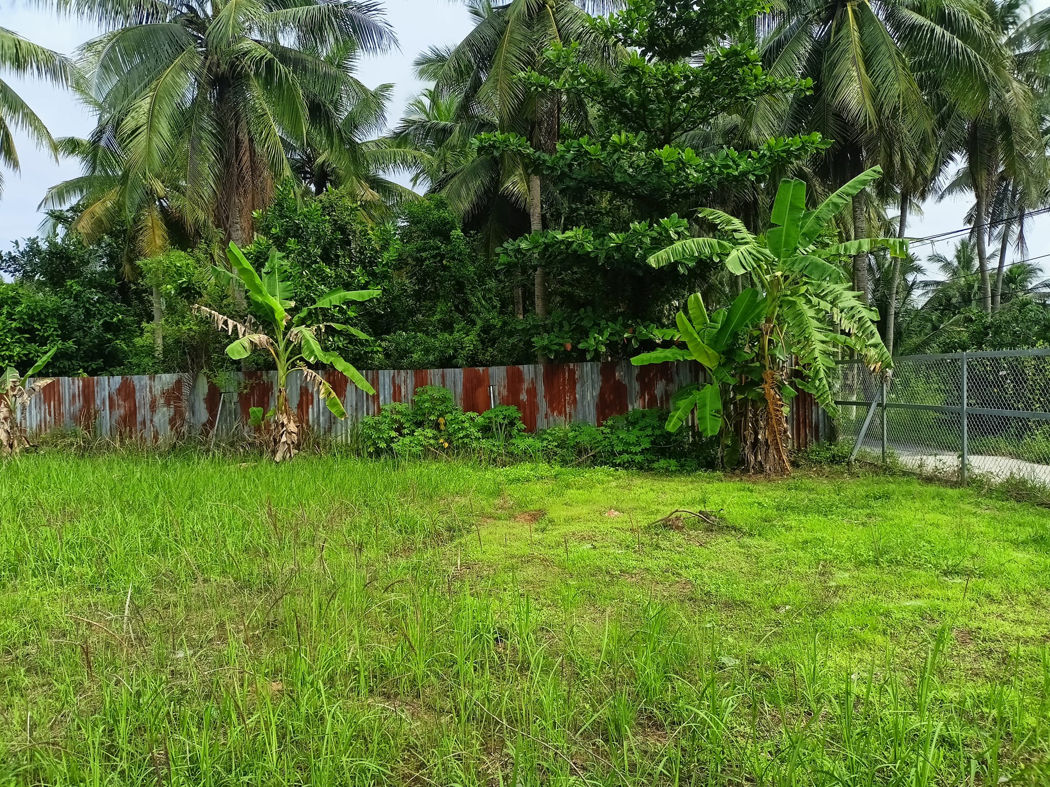 Kẹt tiền cần ra đi vài nền tại xã An Khánh Tỉnh Bến Tre