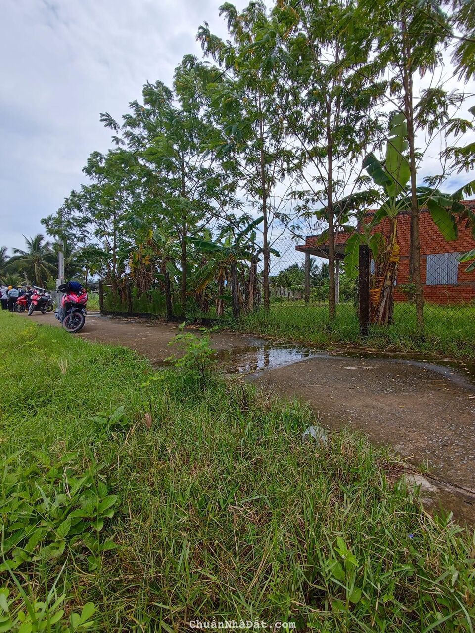 Đất nền giá rẻ liền kề KCN Tân Hương Đất nền giá rẻ liền kề KCN Tân Hương