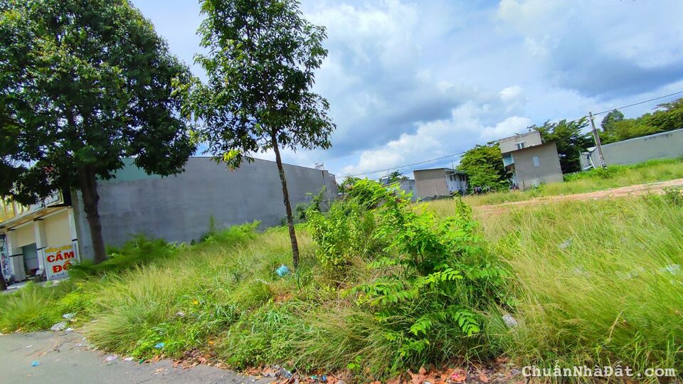 Tôi Chủ, Cần Bán 560m2 Đất T/Cư 100%,SHR,Đường nhựa, Gần Trường ĐH Thủ Dầu Một giá 950tr Tôi Chủ, Cần Bán 560m2 Đất T/Cư 100%,SHR,Đường nhựa, Gần Trường ĐH Thủ Dầu Một giá 950tr