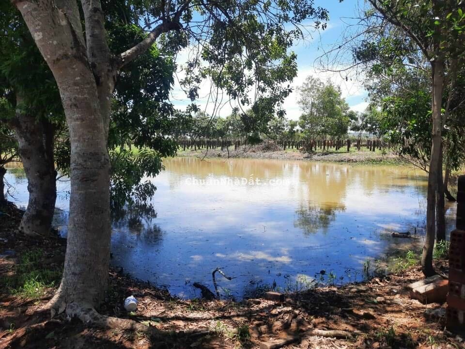 BÁN 2726M2 ĐẤT HÀM THUẬN BẮC CÁCH QL1A 650M ĐỐI DIỆN SAFARI 