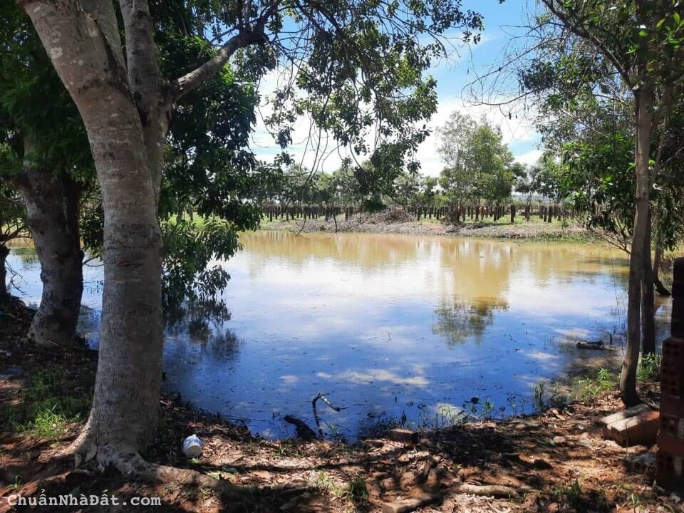 Chỉ 682 triệu công chứng 3 sào đất hàm thuận bắc cách ql 600m.shr