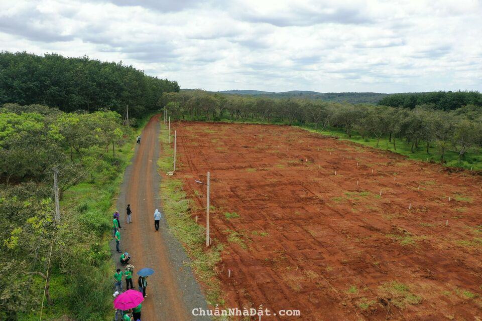 Đất Bình Phước 125m2 giá 340 triệu Lh 0762222660