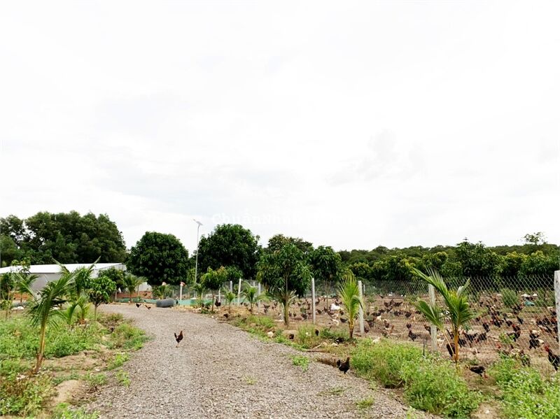 Bán đất vườn đồng nai 13.623 m² có Nhà có Thổ Cư | đất vườn view suối giá rẻ | Xuân Lộc - Đồng Nai Bán đất vườn đồng nai 13.623 m² có Nhà có Thổ Cư | đất vườn view suối giá rẻ | Xuân Lộc - Đồng Nai