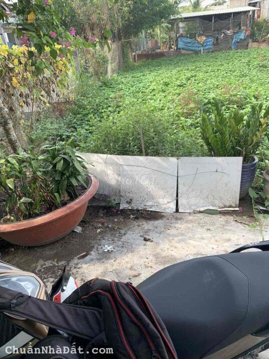 Chính chủ cần bán đất Nguyễn Hữu Trí ngay Chợ Đệm 1.3 TỶ SỔ SẲN Chính chủ cần bán đất Nguyễn Hữu Trí ngay Chợ Đệm 1.3 TỶ SỔ SẲN