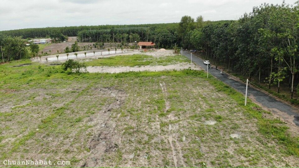 Cần tiền bán tháo lô đất sang tên trong ngày 