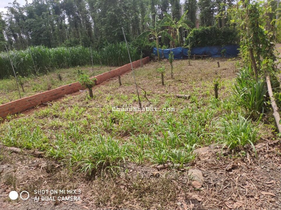 Bán đất xã Xuân Sơn, Huyện Châu Đức, Vũng Tàu dt 8x20m