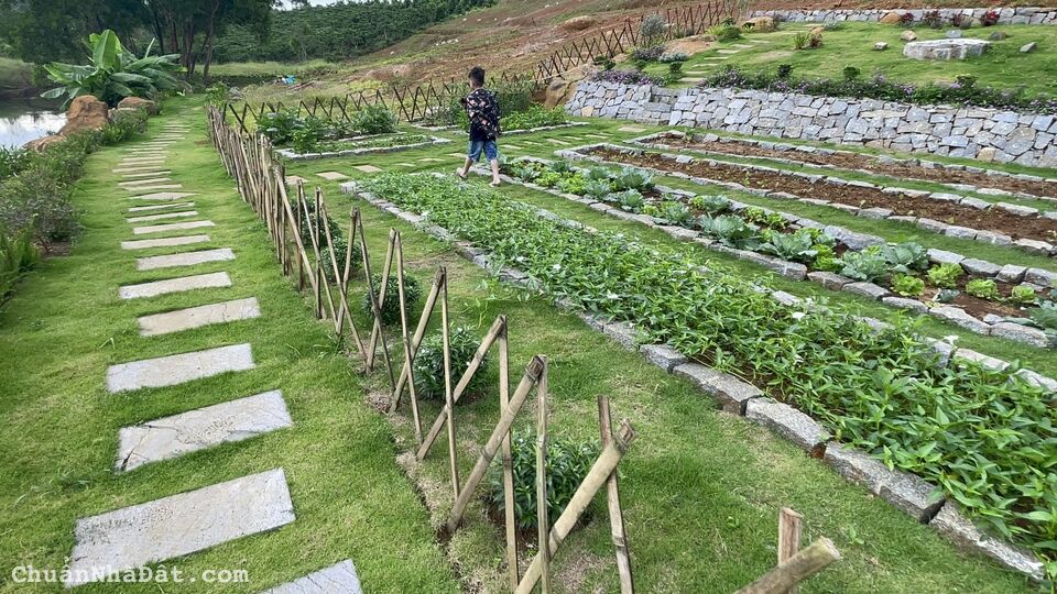 Cần Tiền bán gấp Đất nền Bảo Lâm-Lâm Đồng đón đầu Cao Tốc Dầu Dây Liên Khương 