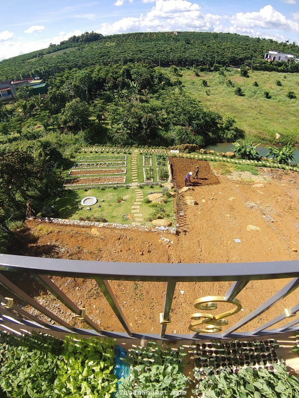 Cần Tiền bán gấp Đất nền Bảo Lâm-Lâm Đồng đón đầu Cao Tốc Dầu Dây Liên Khương 