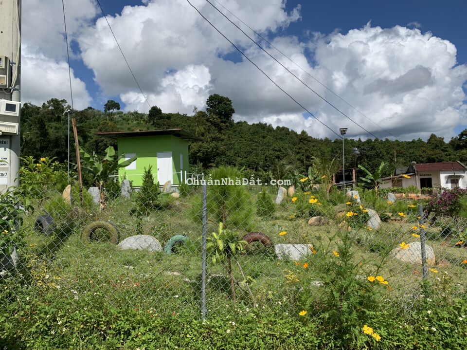 Ngộp tiền ngân hàng bán gấp Đất nên Bảo Lộc - Lâm Đồng Pháp lý rõ ràng