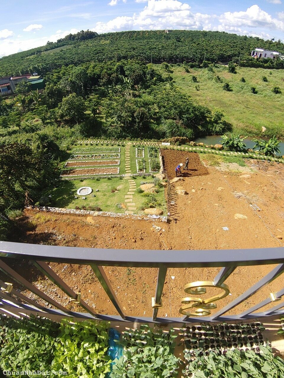 Cần tiền trả ngân hàng bán gấp Đất nên Bảo Lộc - Lâm Đồng Pháp lý rõ ràng