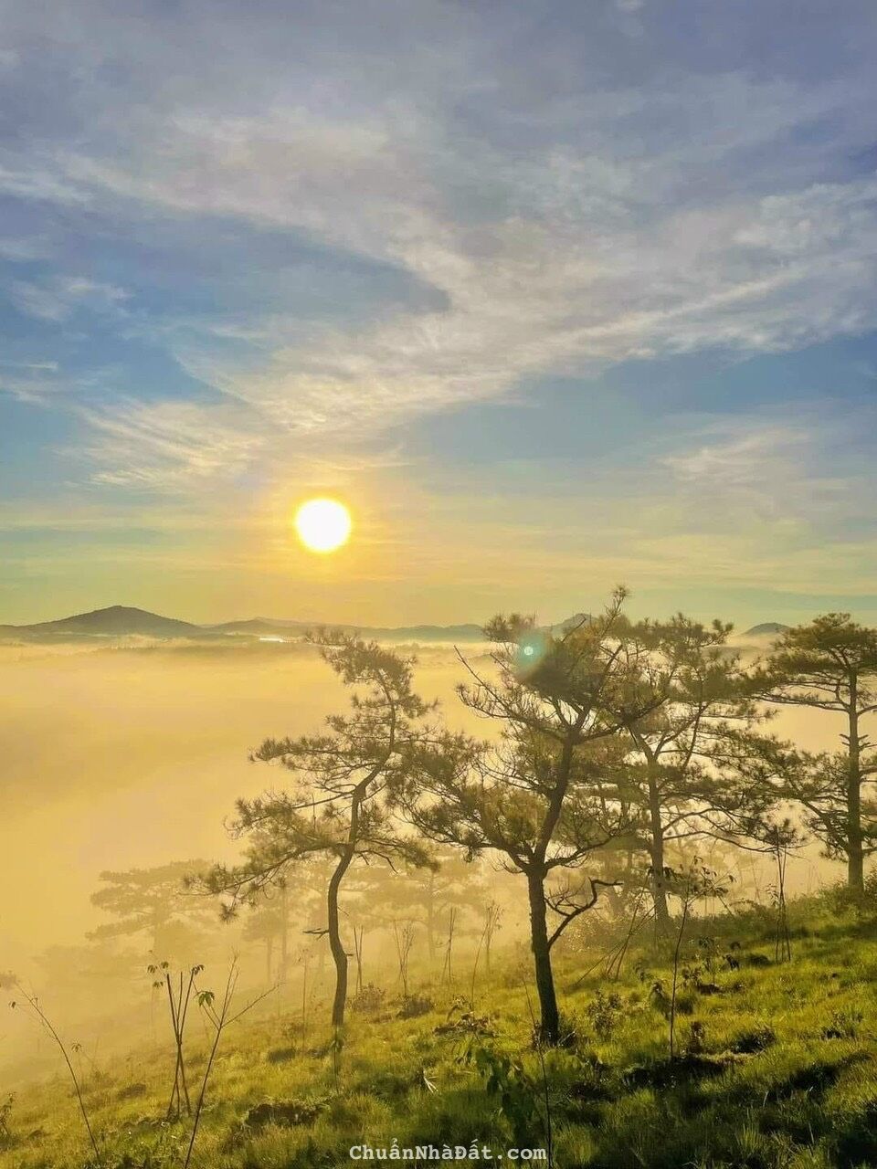 Đất Bảo Lộc Lâm Đồng Giá cam kết chỉ 2tr/m2 vị trí đắc địa