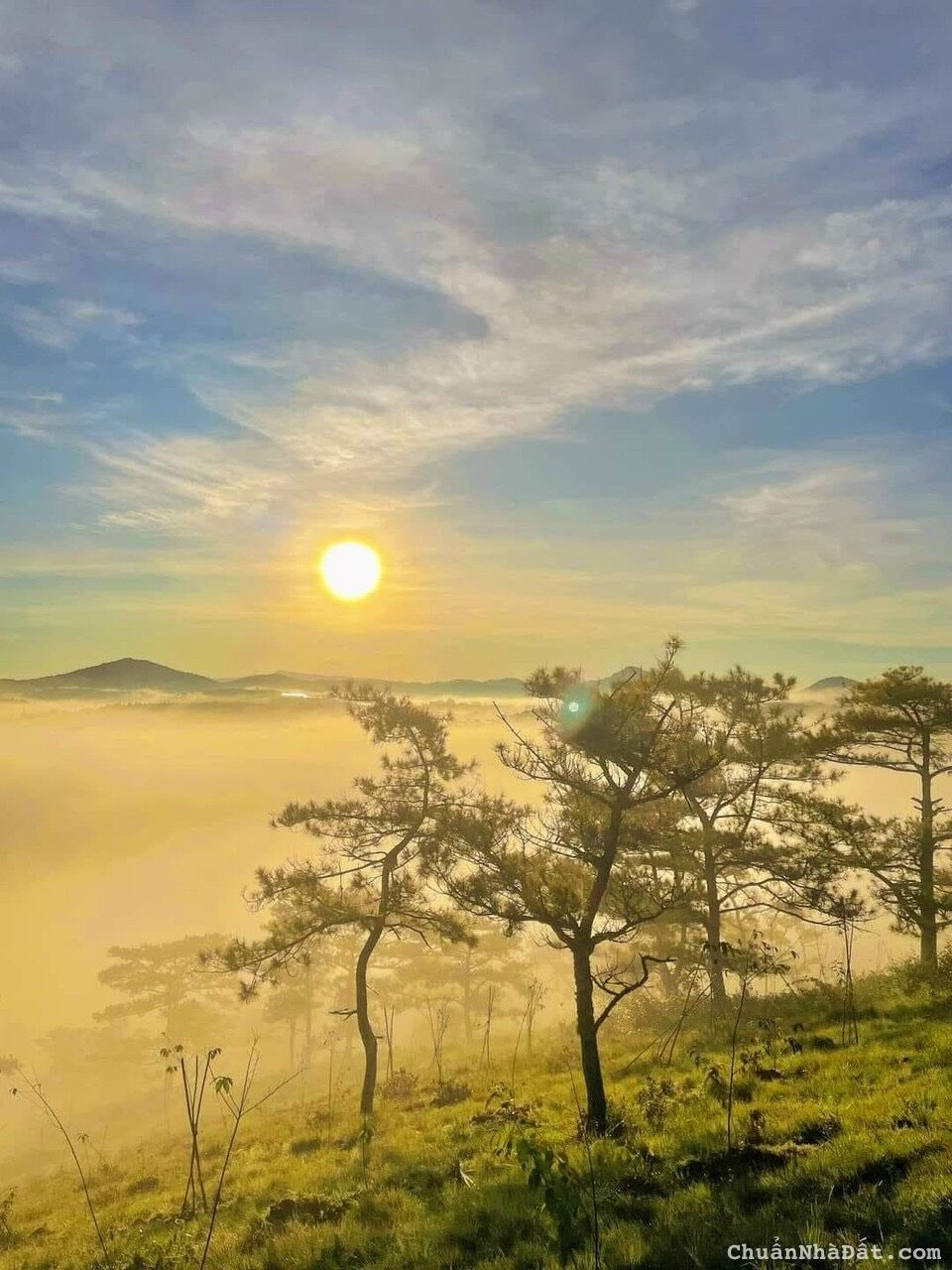 Đất nền BẢO LỘC-LÂM ĐỒNG ĐÓN GIÓ ĐÔNG  TÌM LONG MẠCH GIÁ RẼ , LỢI NHUẬN CAO