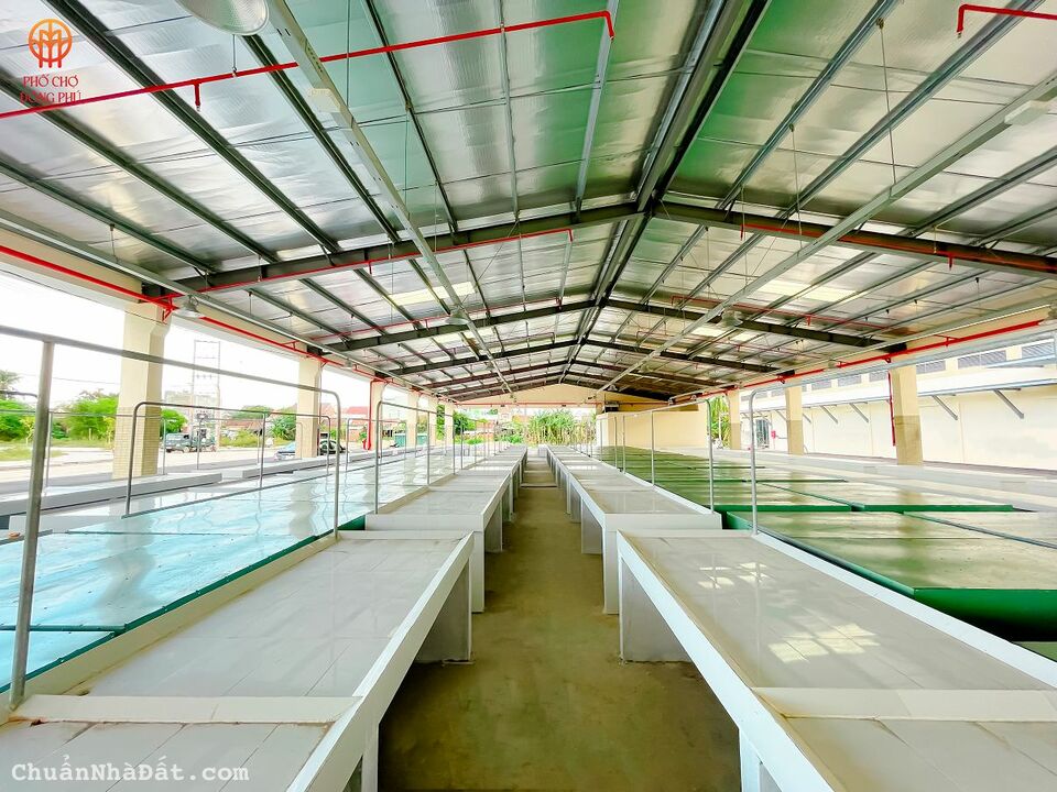 BÁN ĐẤT NỀN CHỢ ĐÔNG PHÚ, GIÁ GỐC CHIẾT KHẤU 16%, CHỈ 12TR/M2 BÁN ĐẤT NỀN CHỢ ĐÔNG PHÚ, GIÁ GỐC CHIẾT KHẤU 16%, CHỈ 12TR/M2