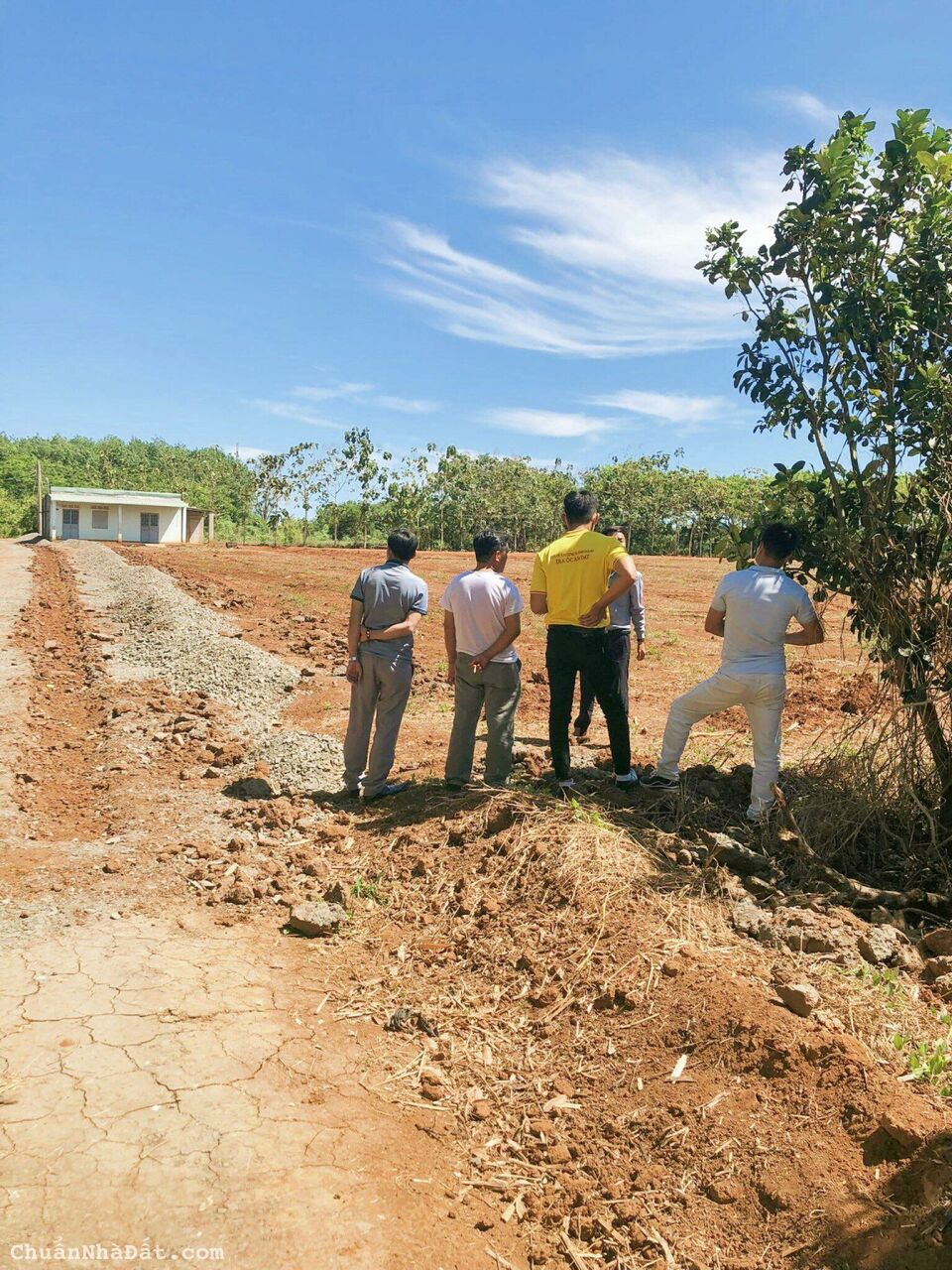 Đất Nền Thổ Cư Lộc Thạnh, Lộc Ninh, Bình Phước