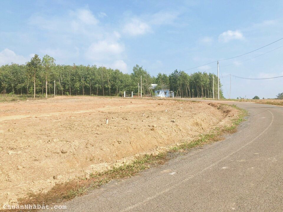 ĐẤT NỀN THỔ CƯ LỘC THIỆN, LỘC NINH, BÌNH PHƯỚC