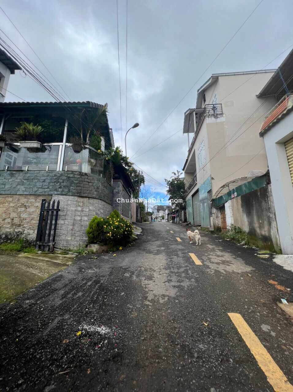 Bán Đất Mặt Tiền Hẻm Ô tô Phường 6 Đà Lạt - Giá Chỉ 6 Tỷ 3