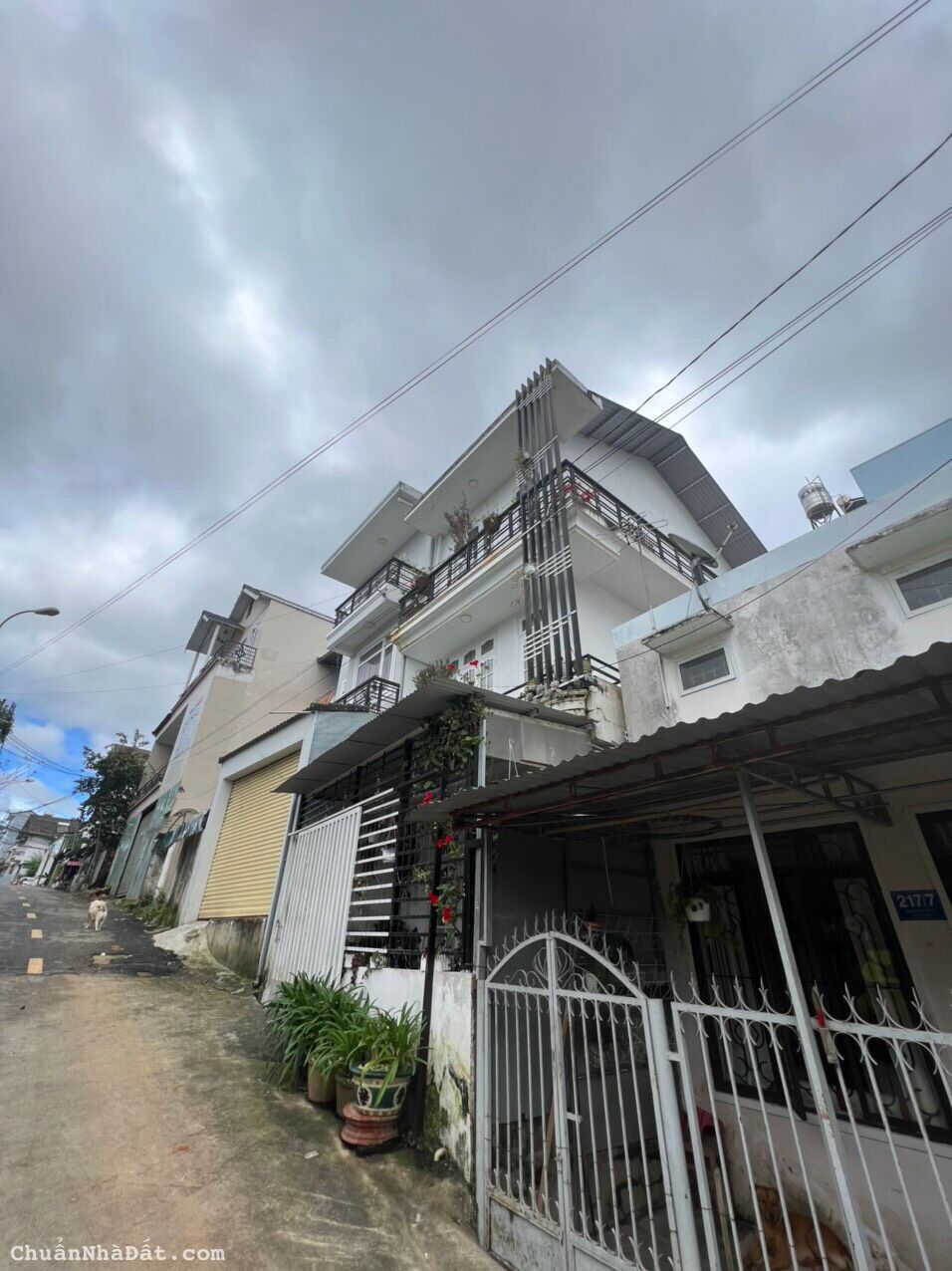 Bán Đất Mặt Tiền Hẻm Ô tô Phường 6 Đà Lạt - Giá Chỉ 6 Tỷ 3